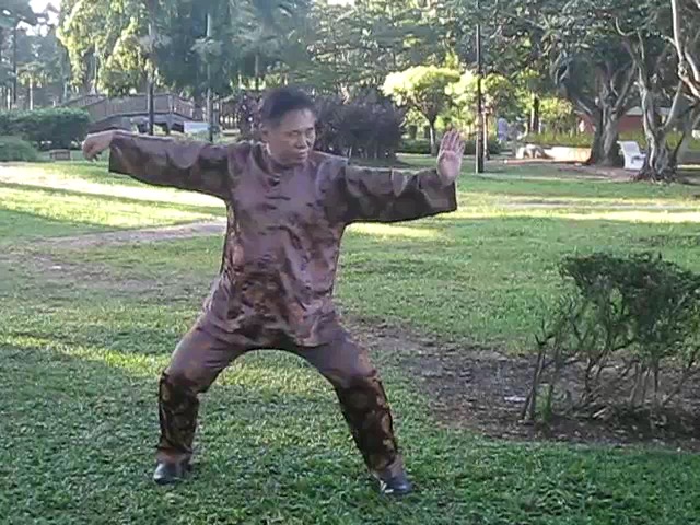 Wu Chuan You Style Taijiquan